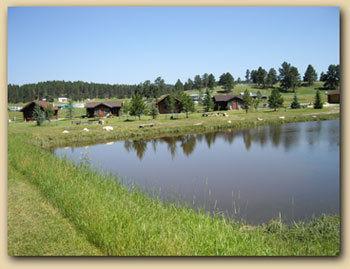 Gold Camp Cabins Custer Exterior photo